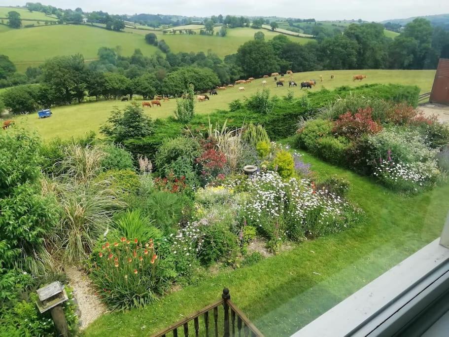 Country With Gardens *